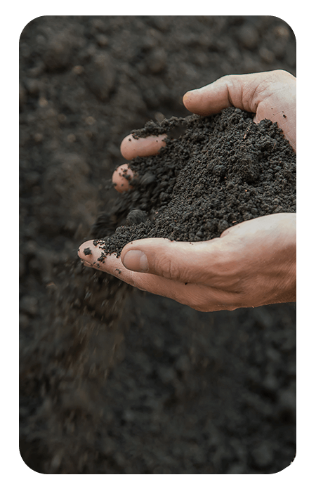 Lehmboden Entsorgen - Lehm in Hand