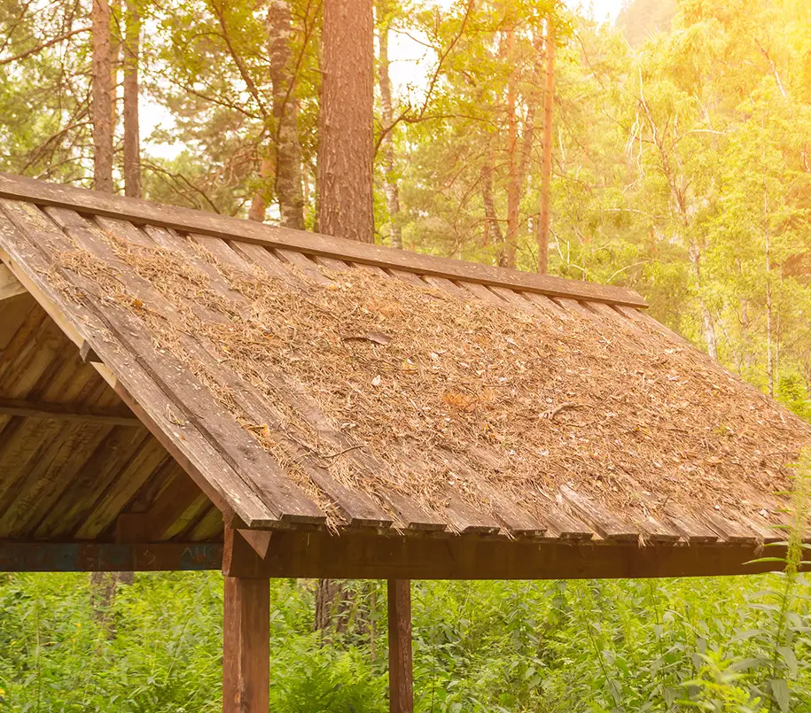 Dach und Träger eines Gartenpavillons