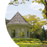 Laubenabriss Berlin - Gartenlaube