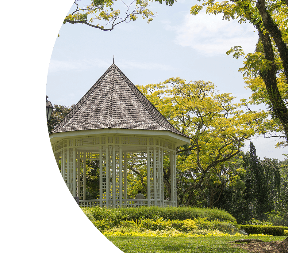 Laubenabriss Berlin - Gartenlaube