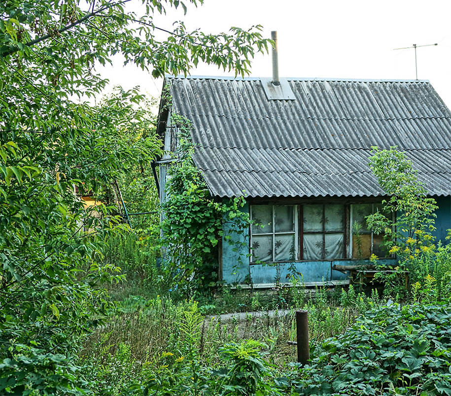 Kleines Haus auf dicht bewachsenem Grundstück