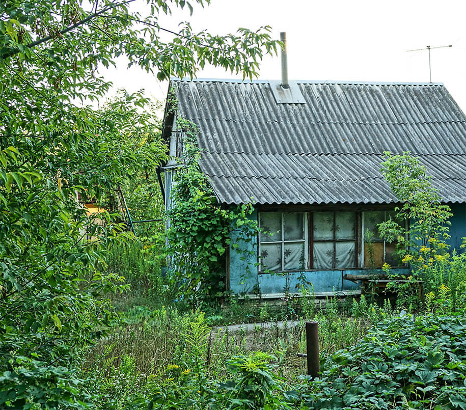 Kleines Haus auf dicht bewachsenem Grundstück wird abgerissen. Abriss mit Abrisswerk